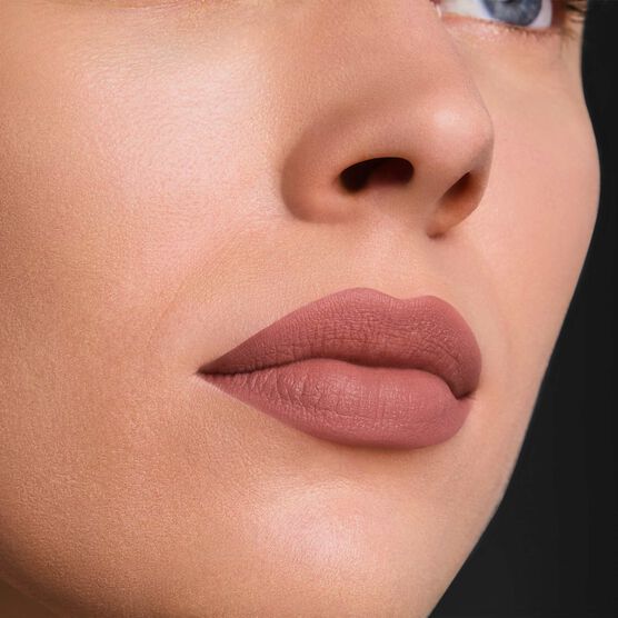 PURE COLOR EST�E LAUDER LIP MATTE 816